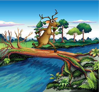 四渡河大桥渡河的鹿插画