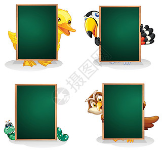 虫鸟养羞后面有动物的空绿色板板设计图片