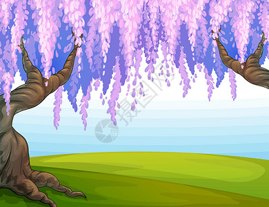 紫藤芋公园里的大树屏幕木头天空卡通树干土壤保护风景花朵设计图片