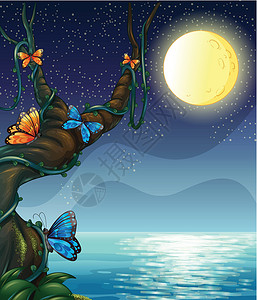 蝴蝶晚上在晚上满月海滩分支机构场景风景圆圈树干藻类树叶藤蔓海洋设计图片