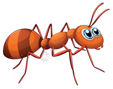 50代蚂蚁昆虫探者钳子白色触角代体眼睛动物害虫剪贴插画