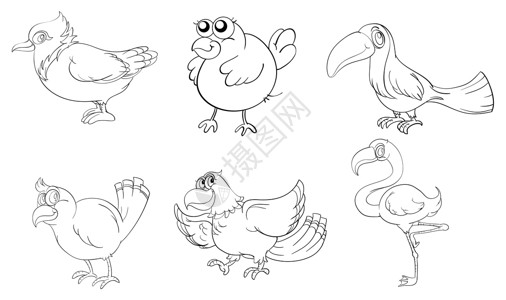 唧唧声涂鸦设计中的不同鸟类设计图片