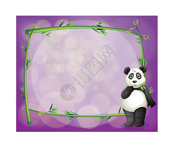 带熊猫的空框架背景图片