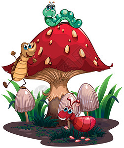 蘑菇上毛毛虫一种蘑菇包围着不同的昆虫设计图片
