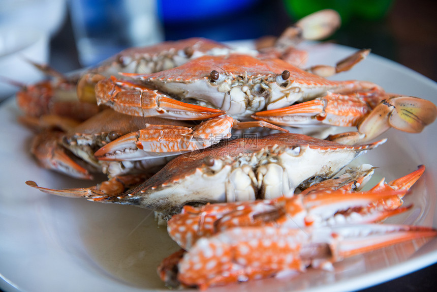 近身蒸汽蓝螃蟹城市假期橙子自助餐裂缝野餐房子餐厅服务支撑图片