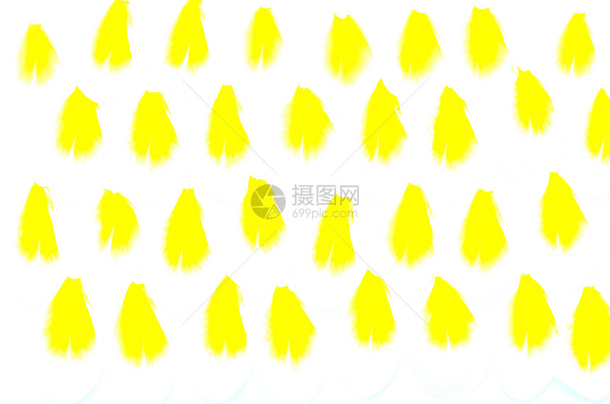 黄黄色生物学框架花瓣白色热带园艺植物黄色鸡蛋花黄花图片