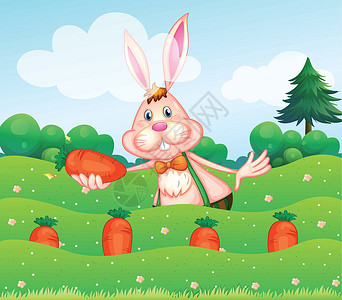 兔子在灌木丛一只在花园里拿着胡萝卜的兔子插画
