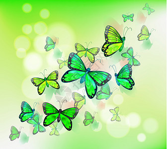 一群绿蝴蝶背景图片