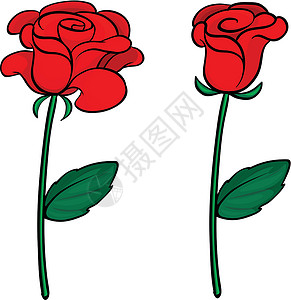 芽花蜜两朵红玫瑰植物风格萼片花朵绿色卡通片白色装饰品剪贴玫瑰插画