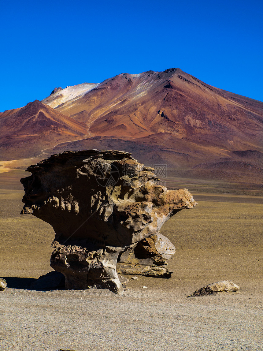 石树地质学天空火山地标蓝色风景侵蚀荒野高原旅行图片