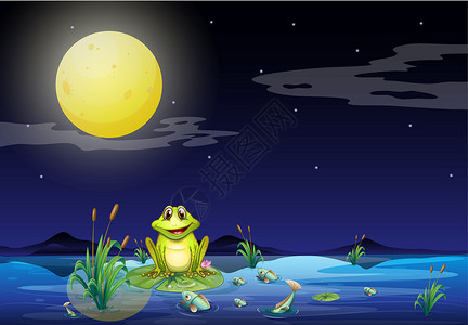 四水归堂在明亮满月下湖面的青蛙和鱼插画