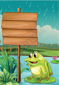在空木板附近的青蛙背景图片