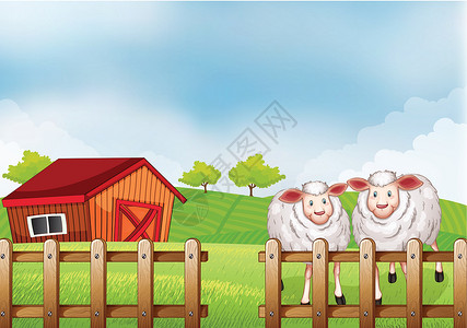 山羊在木栅栏和一个谷仓里插画