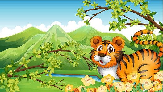 山上一只老虎 在流河边的山里设计图片