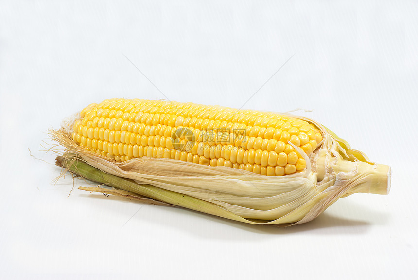 以玉米白背景早餐粮食玉米片美食谷物棒子核心饮食蔬菜耳朵图片