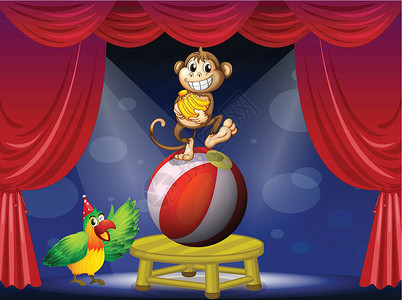 马戏团表演一只猴子站在球和鸟上设计图片