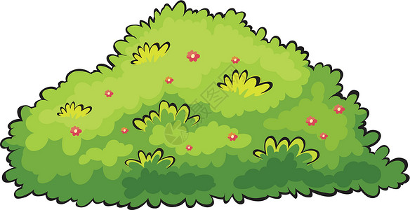 树篱绿树绘画衬套粉色植物色调黄色黑色树叶花园植物群插画