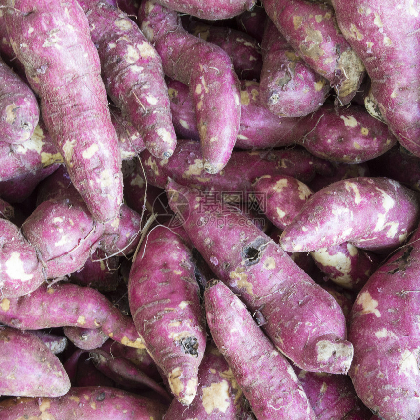 铁矿石紫色白色食物蔬菜土豆块茎淀粉图片