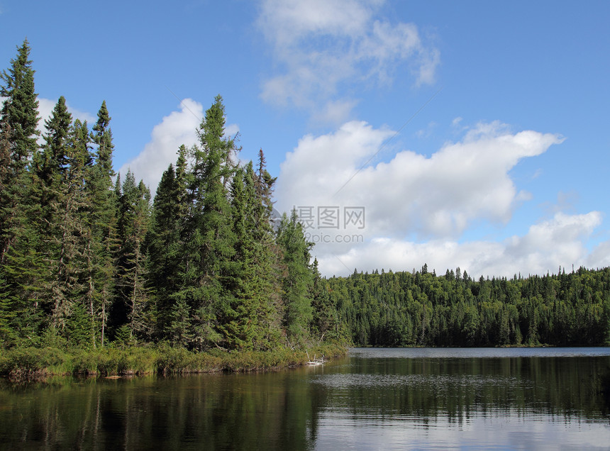 森林湖叶子木头支撑松树蓝色荒野天空日志风景树木图片