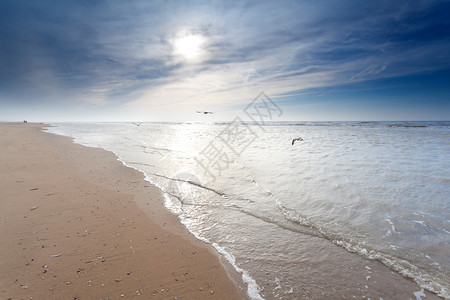 北海沙滩上的海鸥高清图片