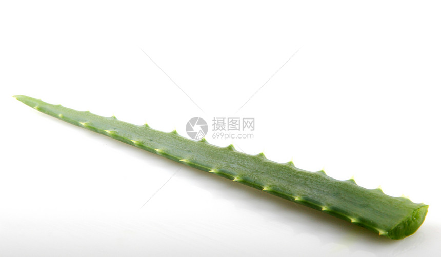 白上隔离的 Aloe vera植物皮肤草本植物宏观芦荟花沙漠生长叶子果汁药品愈合图片
