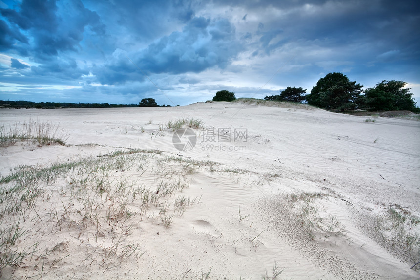沙丘上的风纹理蓝色风景天空季节衬套爬坡季节性农村荒野图片