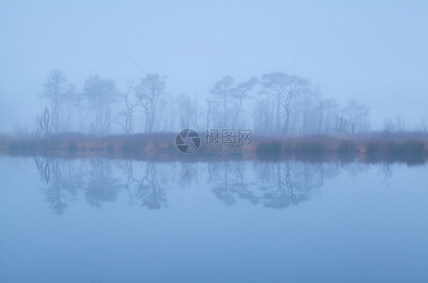 以湖泊和浓雾为代表的树木图片