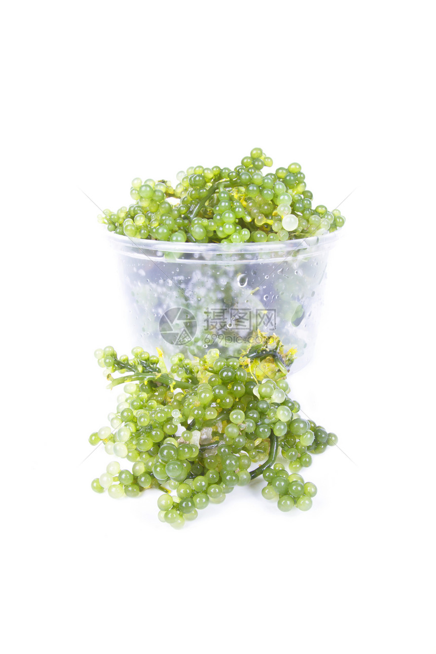 大洋海葡萄海藻藻类食物美味沙拉美食绿色产品叶子海洋棕色图片