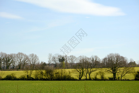 英格兰肯特有新作物的绿田高清图片