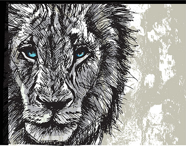 手绘狮子非洲一头雄性大狮子的拼图猎人食肉荒野头发绘画插图鬃毛捕食者手绘豹属设计图片