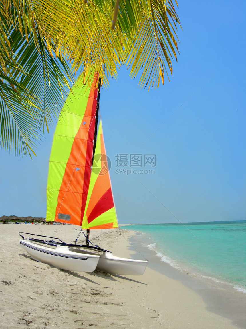 沙滩上多彩多彩的撒地马兰和棕榈树海洋海滩热带假期航海航行帆船阳光树木休闲图片