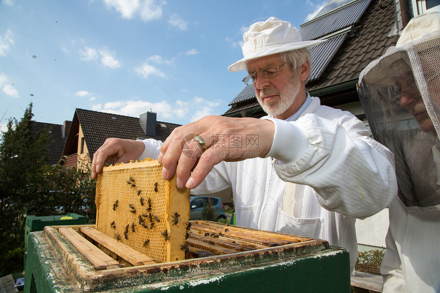 养蜂人照顾蜜蜂殖民地农业蜂窝套装养蜂业蜂蜜传粉者昆虫生产男性蜂巢图片