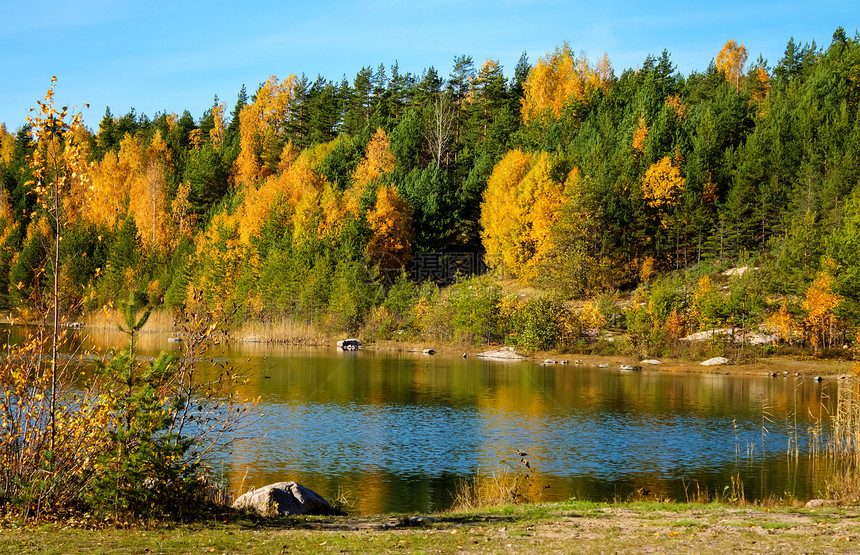 秋天风景支撑公园森林树叶农村池塘叶子荒野岩石反射图片