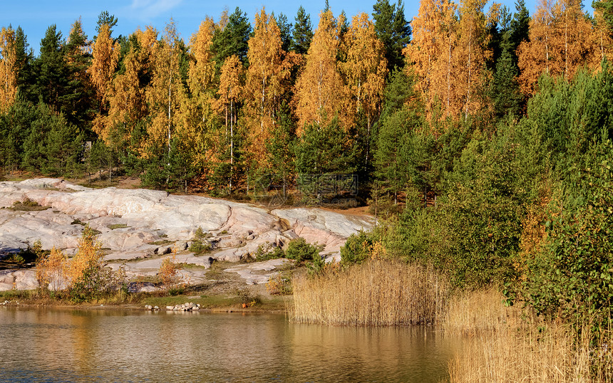 充满多彩的秋季风景绿色悬崖池塘巨石叶子树叶支撑森林黄色天空图片