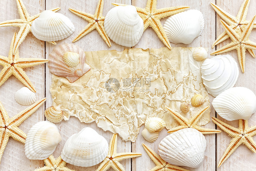 海贝壳绳索旅行卡片明信片海洋海星贝类木板海滨海岸图片