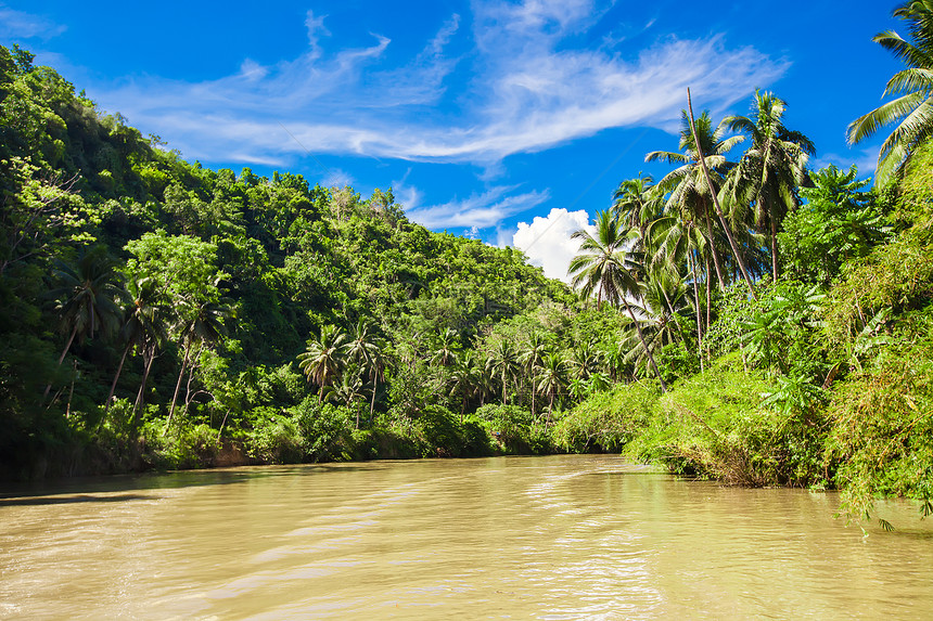 热带洛博克河 两岸都有棕榈树椰子观光丛林棕榈公园森林旅行冒险异国游客图片