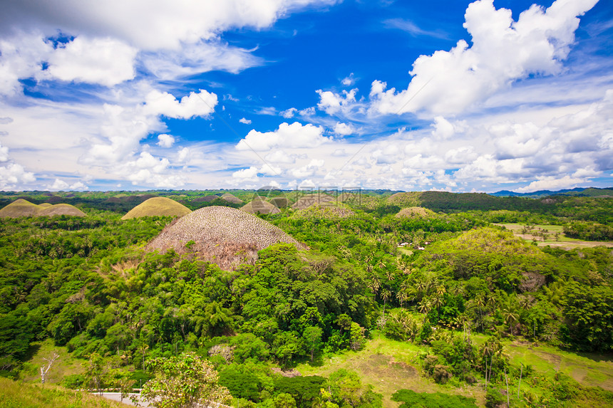 菲律宾Bohol的绿色多汁巧克力山图片