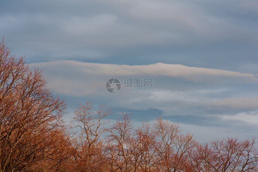秋季天气季节森林天空多云图片