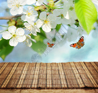 一只蝴蝶桌面空表格桌子花园美丽竹子风景蝴蝶码头季节天气环境背景