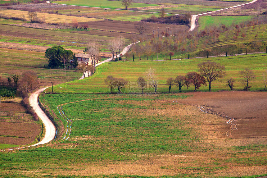 意大利乡村意大利人农庄树林生物土壤植物场地农村绿色图片