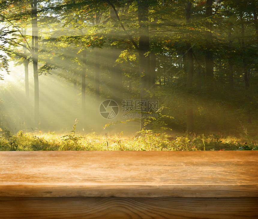 空表格广告平行线太阳展示森林植被木板乡村日落树木图片