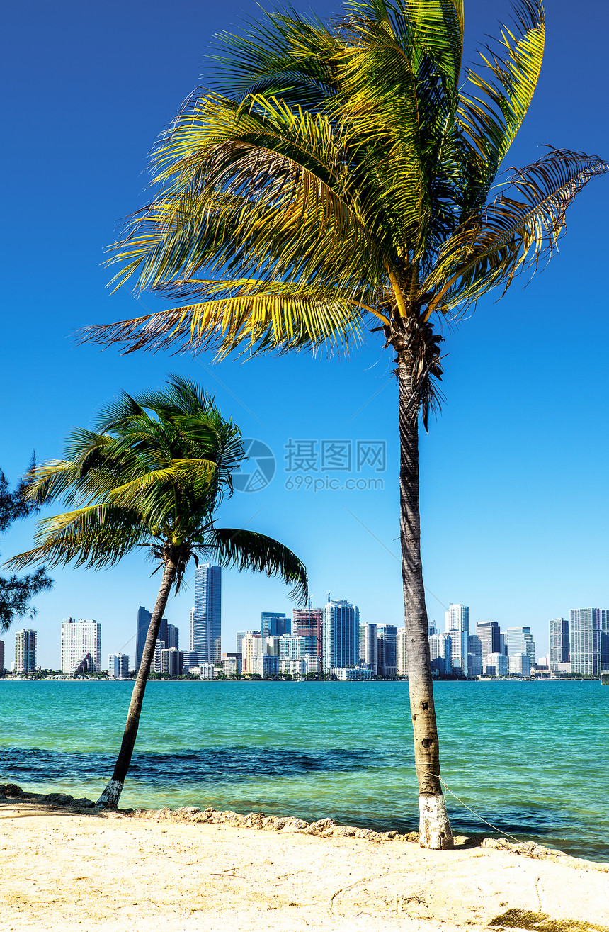 迈阿密市中心天线热带旅游全景公寓目的地吸引力摩天大楼景点城市海景图片