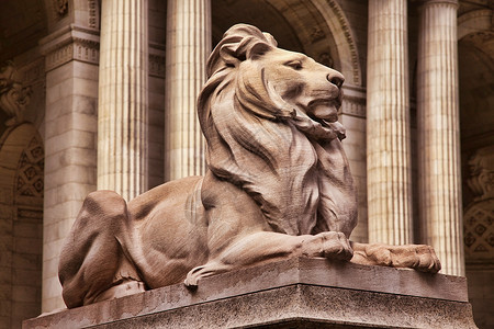 狮子雕像教育学习学校图书馆机构学生地标建筑学文化背景图片