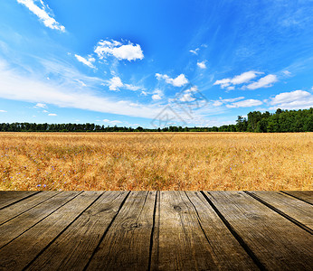蓝色表格素材空表格天堂农场桌子晴天场景爬坡道木头场地土地牧场背景