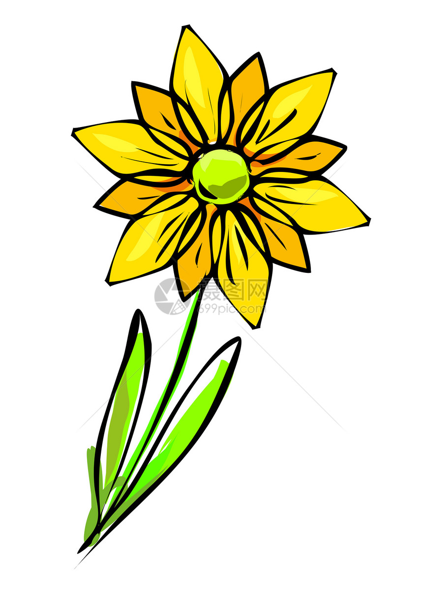 黄黄色花朵橙子白色绿色艺术花园植物花瓣插图叶子季节图片