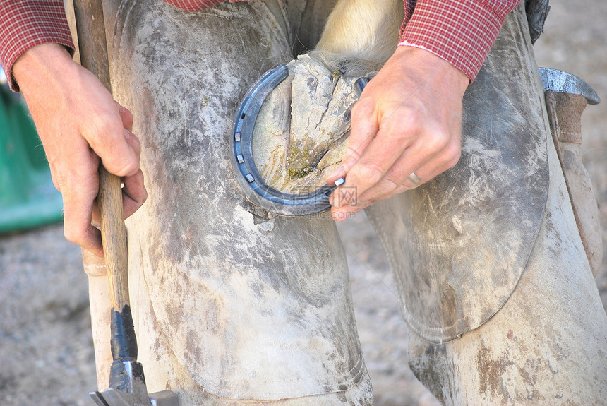 男性更远手工职业铁匠工艺马蹄铁工具哺乳动物贸易成人马蹄图片