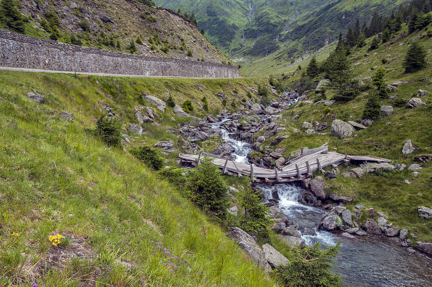 山山河顶峰木头叶子旅游森林国家风景山脉石头生态图片