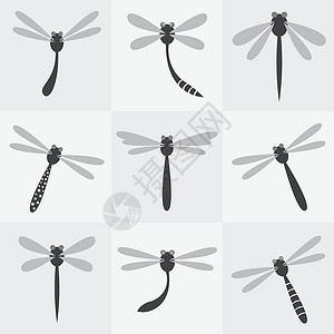 苍蝇图标一套矢量龙尾图标设计图片
