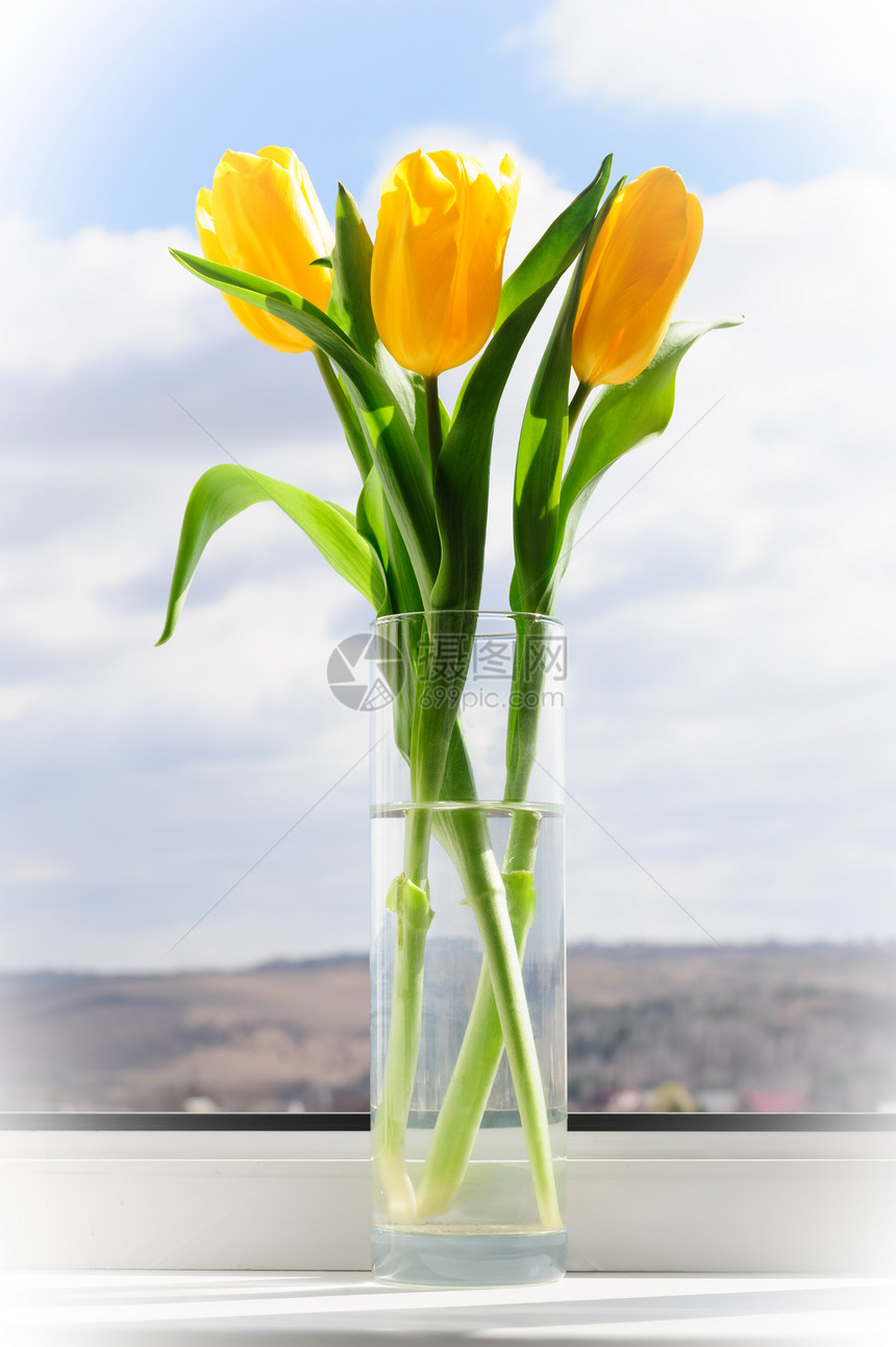 窗口硅上花瓶中的黄色郁金香植物花束窗台花瓣花朵窗户叶子庆典白色绿色图片