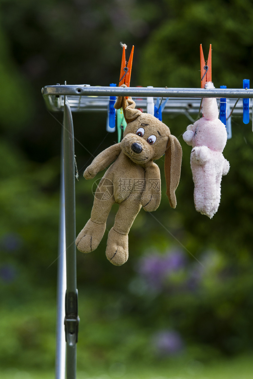 挂在干燥处洗衣店衣夹玩具玩具熊粉色柔软度绿色衣绳打扫乐趣图片
